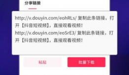 短视频打包下载,轻松收藏精彩瞬间