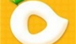 芒果短视频下载,轻松保存精彩瞬间